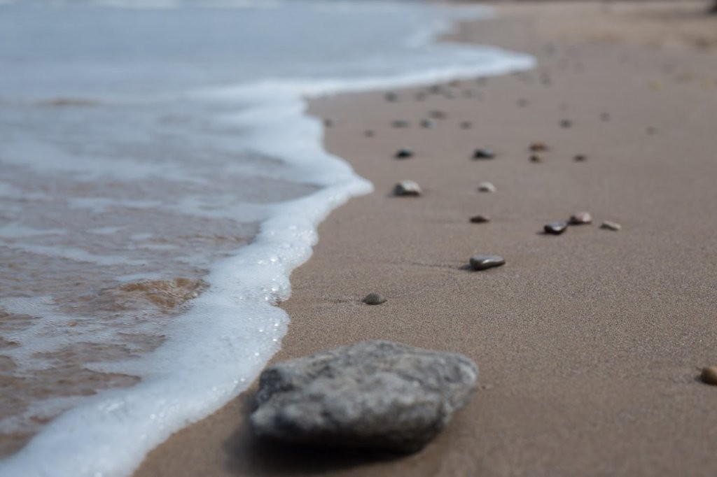 Navigating the Autumn Property Market with Confidence