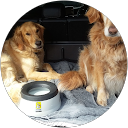 peter robinson profile picture