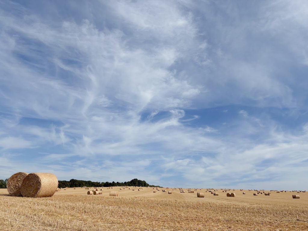 A Welcome Change in the Ryedale and East Coast Property Market